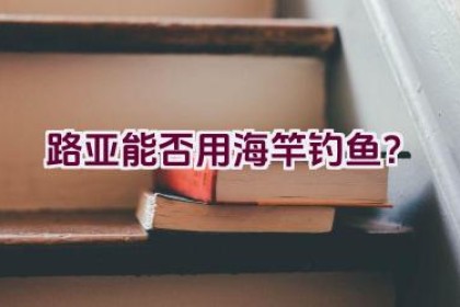 路亚能否用海竿钓鱼？