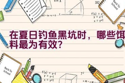 在夏日钓鱼黑坑时，哪些饵料最为有效？