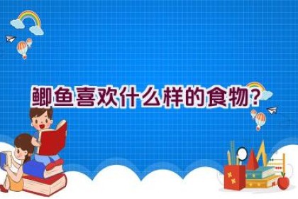 鲫鱼喜欢什么样的食物？