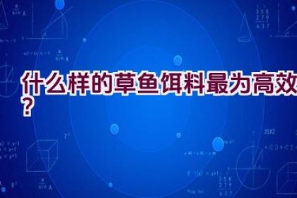 什么样的草鱼饵料最为高效？