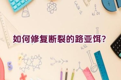 如何修复断裂的路亚饵？