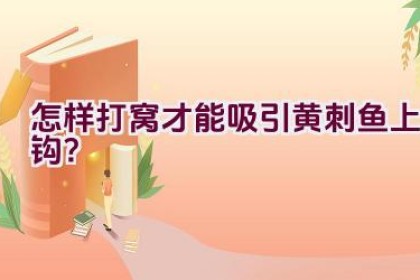 怎样打窝才能吸引黄刺鱼上钩？