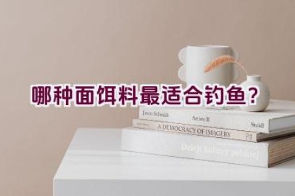 哪种面饵料最适合钓鱼？