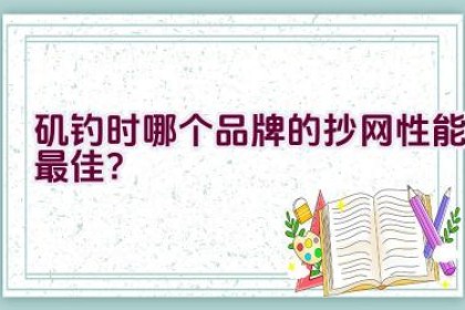 矶钓时哪个品牌的抄网性能最佳？