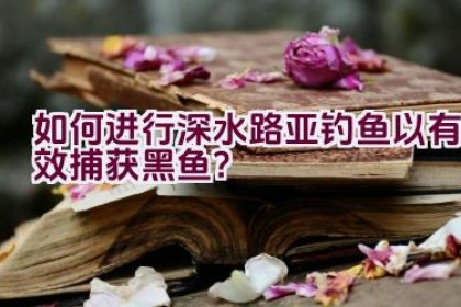 如何进行深水路亚钓鱼以有效捕获黑鱼？