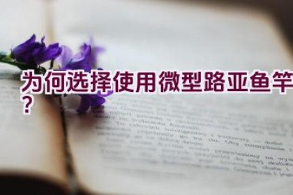 为何选择使用微型路亚鱼竿？
