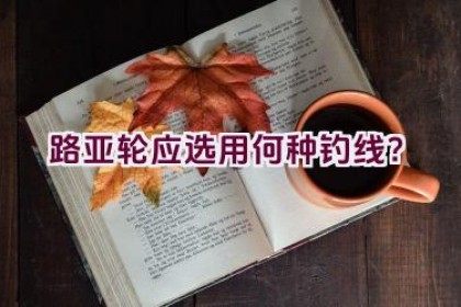 路亚轮应选用何种钓线？