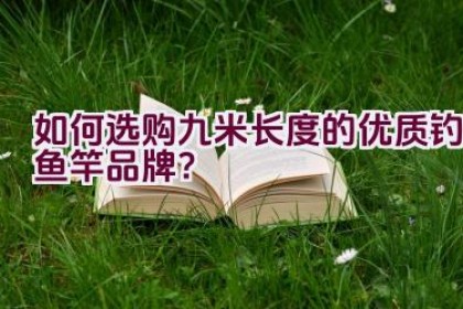 如何选购九米长度的优质钓鱼竿品牌？