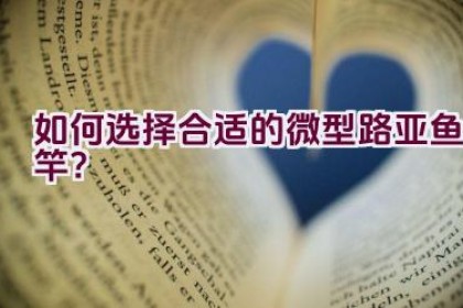 如何选择合适的微型路亚鱼竿？