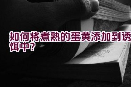 如何将煮熟的蛋黄添加到诱饵中？