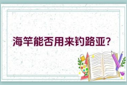 海竿能否用来钓路亚？