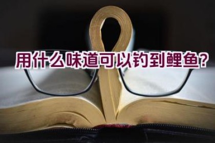 用什么味道可以钓到鲤鱼？