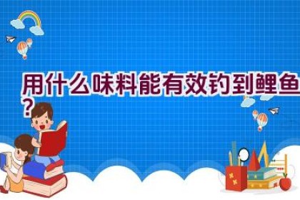 用什么味料能有效钓到鲤鱼？