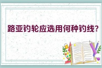 路亚钓轮应选用何种钓线？