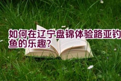 如何在辽宁盘锦体验路亚钓鱼的乐趣？