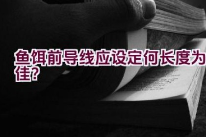 鱼饵前导线应设定何长度为佳？