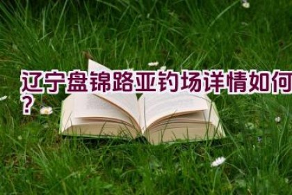 辽宁盘锦路亚钓场详情如何？