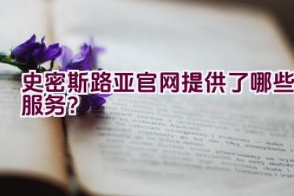 史密斯路亚官网提供了哪些服务？