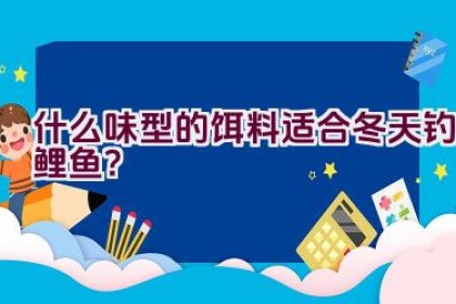 什么味型的饵料适合冬天钓鲤鱼？