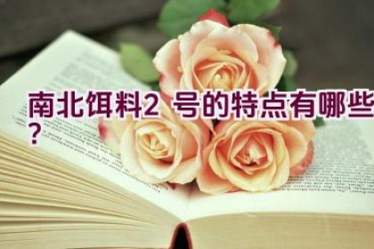 南北饵料2号的特点有哪些？