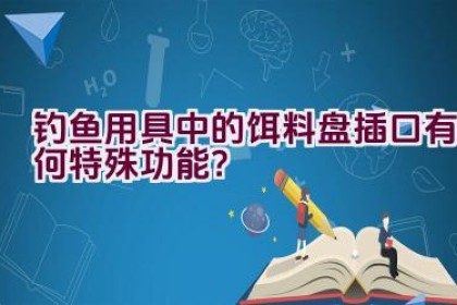 钓鱼用具中的饵料盘插口有何特殊功能？