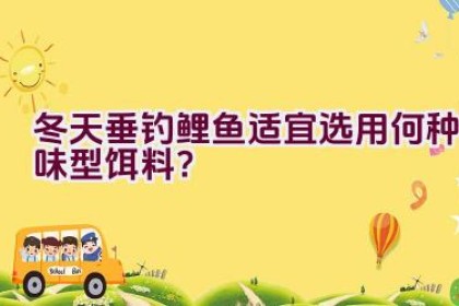 冬天垂钓鲤鱼适宜选用何种味型饵料？