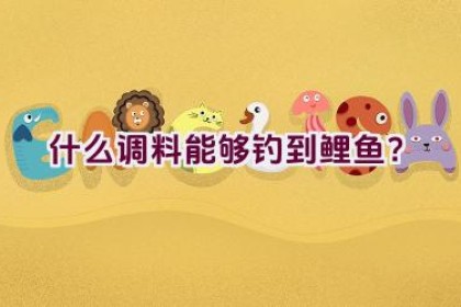 什么调料能够钓到鲤鱼？