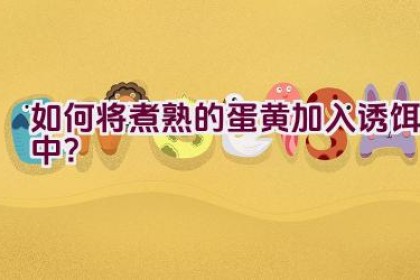 如何将煮熟的蛋黄加入诱饵中？