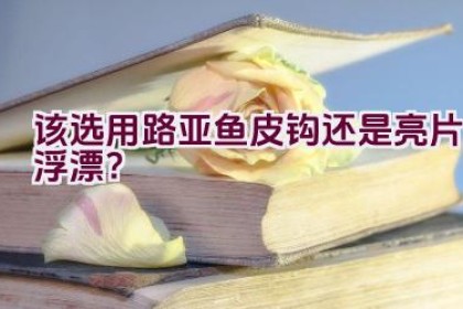 该选用路亚鱼皮钩还是亮片浮漂？