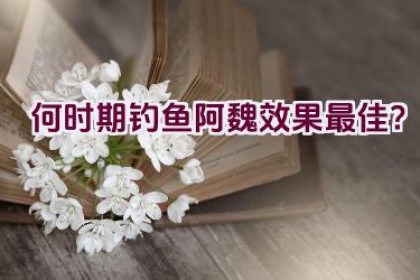 何时期钓鱼阿魏效果最佳？