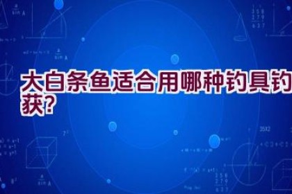 大白条鱼适合用哪种钓具钓获？