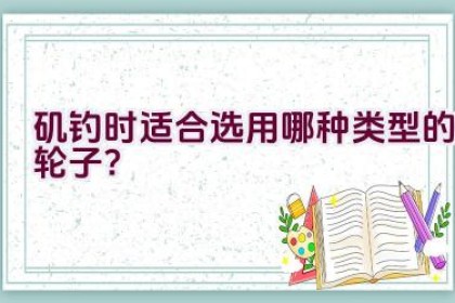 矶钓时适合选用哪种类型的轮子？