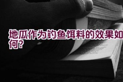 地瓜作为钓鱼饵料的效果如何？