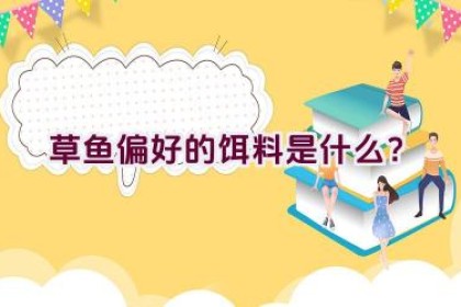 草鱼偏好的饵料是什么？