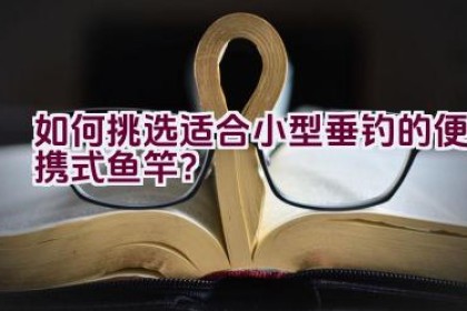 如何挑选适合小型垂钓的便携式鱼竿？