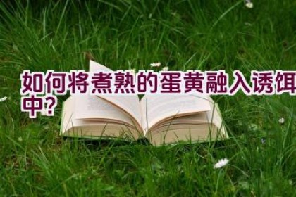 如何将煮熟的蛋黄融入诱饵中？