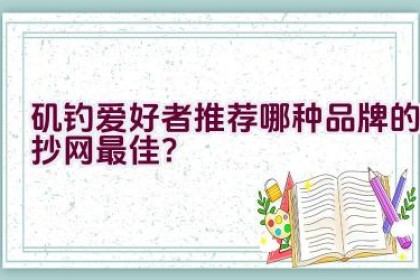 矶钓爱好者推荐哪种品牌的抄网最佳？