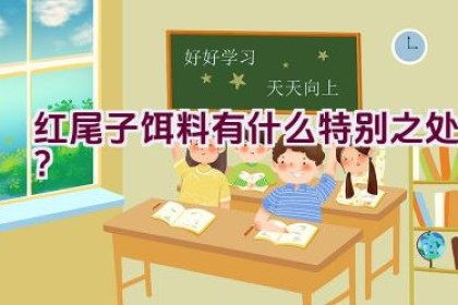 红尾子饵料有什么特别之处？