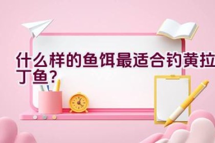 什么样的鱼饵最适合钓黄拉丁鱼？
