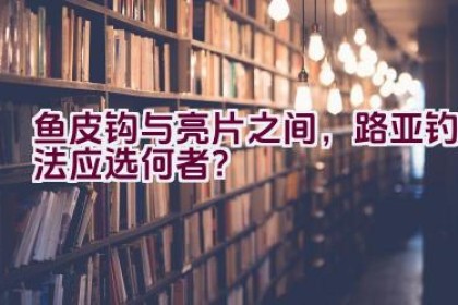 鱼皮钩与亮片之间，路亚钓法应选何者？