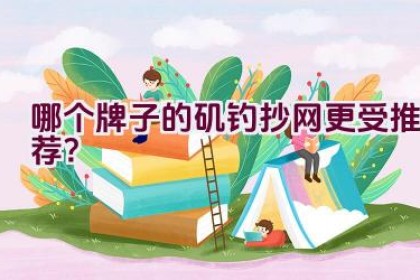 哪个牌子的矶钓抄网更受推荐？