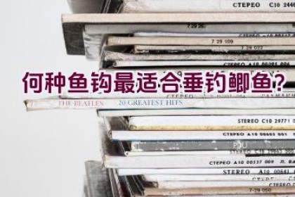 何种鱼钩最适合垂钓鲫鱼？