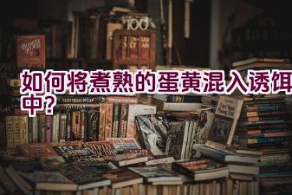 如何将煮熟的蛋黄混入诱饵中？