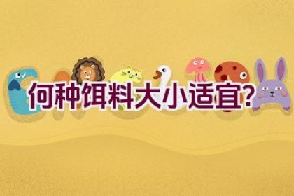 何种饵料大小适宜？