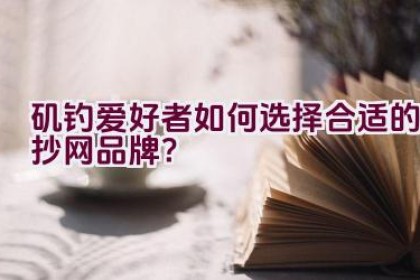 矶钓爱好者如何选择合适的抄网品牌？