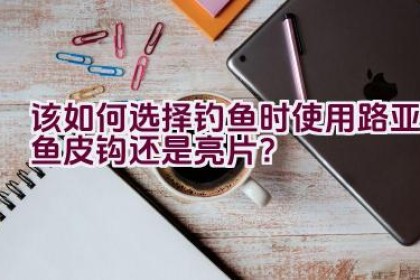 该如何选择钓鱼时使用路亚鱼皮钩还是亮片？
