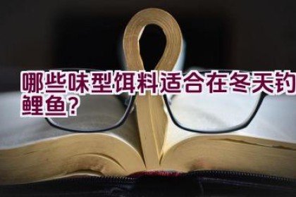 哪些味型饵料适合在冬天钓鲤鱼？