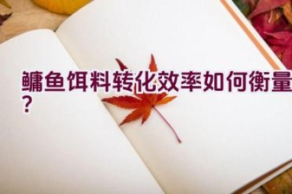 鳙鱼饵料转化效率如何衡量？