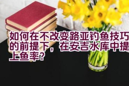 如何在不改变路亚钓鱼技巧的前提下，在安吉水库中提高上鱼率？