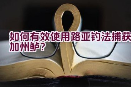 如何有效使用路亚钓法捕获加州鲈？